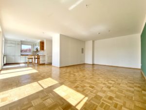 204-3 großer Wohn-Essbereich