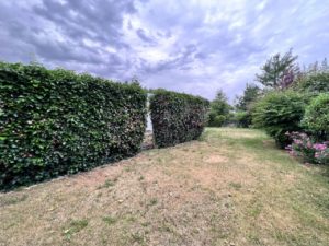 433 großer Garten